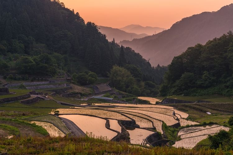 Ino no Tanada Terraced Rice Fields