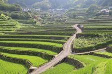 Tourist destination images of Injin Rice Terraces(2)