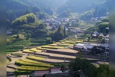 Tourist destination images of Injin Rice Terraces(3)