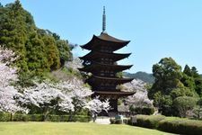 Tourist destination images of Rurikoji Temple(2)