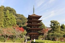 Tourist destination images of Rurikoji Temple(3)