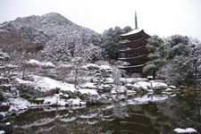 Tourist destination images of Rurikoji Temple(5)