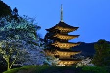 Tourist destination images of Rurikoji Temple(6)