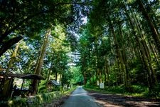 Tourist destination images of Beppu Benten Pond(2)