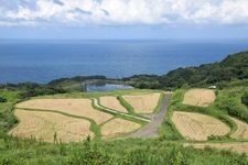 Tourist destination images of Atohata Rice Terraces (Higashi Atohata Tanada)(2)