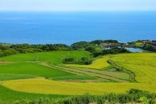 Tourist destination images of Atohata Rice Terraces (Higashi Atohata Tanada)(4)