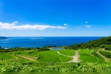 Tourist destination images of Atohata Rice Terraces (Higashi Atohata Tanada)(5)