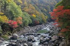 Tourist destination images of Nagato Gorge(2)