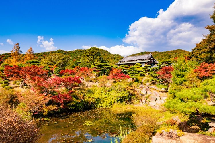 สวนโมริชิ (Mouri Clan Garden) 2