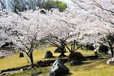 Tourist destination images of Mori Clan Garden (Mori Museum)(6)