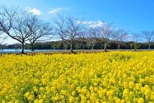 Tourist destination images of Tokiwa Park(2)