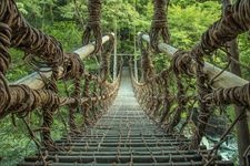 Tourist destination images of Iya Kazurabashi (Iya Vine Bridge)(3)