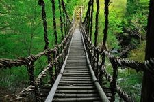 Tourist destination images of OkuIya Double Kazurabashi (Vine Bridges)(3)