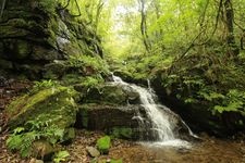 Tourist destination images of Todoroki Ninety-Nine Waterfalls(3)