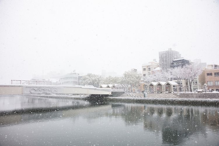 Tourist destination images of Shinmachi River & Awa Seishi Mizugiwa Park(3)