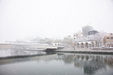 Tourist destination images of Shinmachi River & Awa Seishi Mizugiwa Park(3)