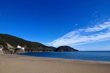 日和佐海龜博物館Caretta的觀光地圖片(4)
