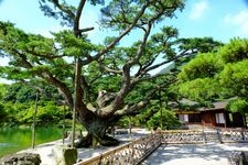 Tourist destination images of Ritsurin Garden(8)