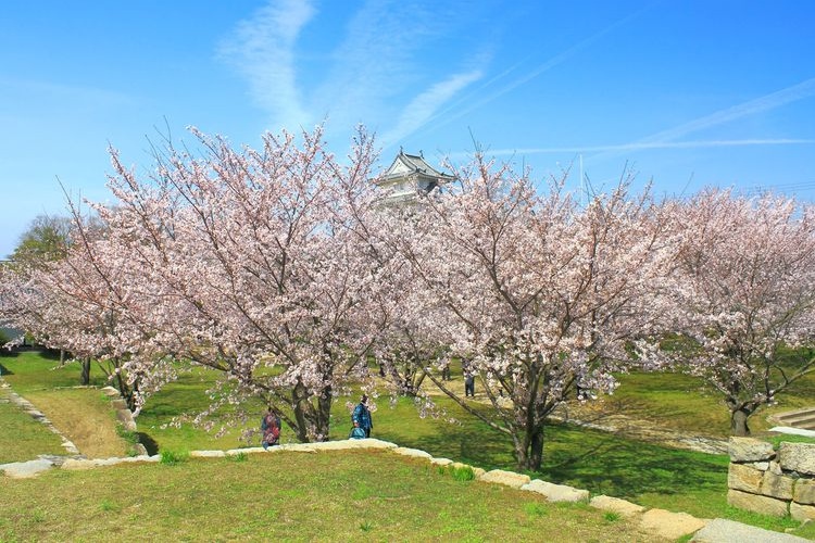 Marugame Castle