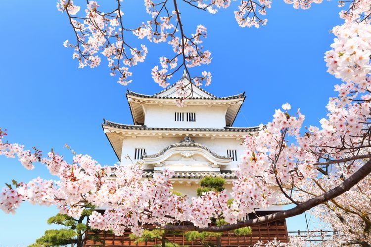 Tourist destination images of Marugame Castle(2)