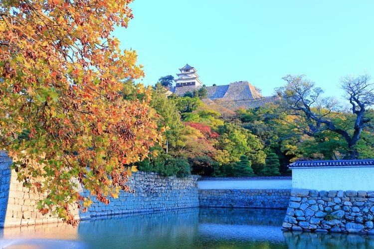 丸亀城