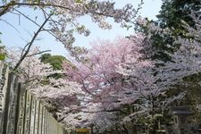 Tourist destination images of Konpira-gu Shrine(2)