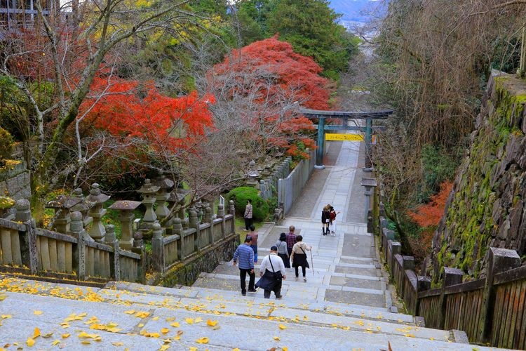 Tourist destination images of Konpira-gu Shrine(2)