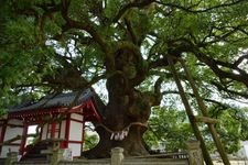 Tourist destination images of Zentsuji Temple (Head Temple)(5)