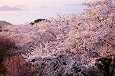 Tourist destination images of Shiudeyama Mountain(1)