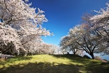 Tourist destination images of Shiudeyama Mountain(2)