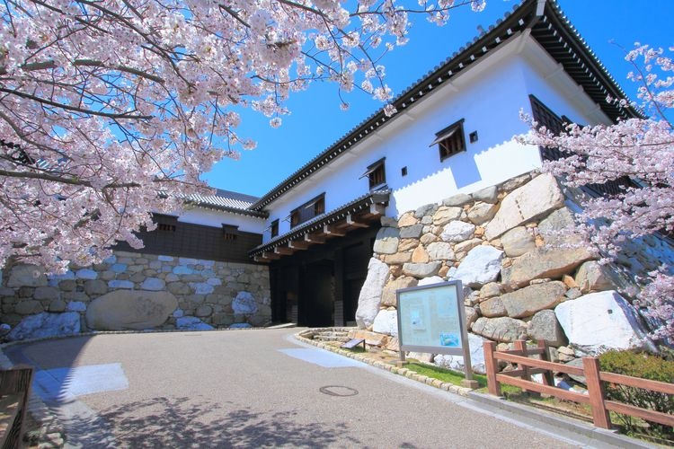 Tourist destination images of Imabari Castle(3)