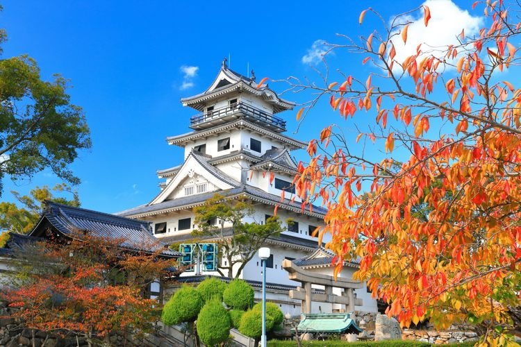Tourist destination images of Imabari Castle(4)