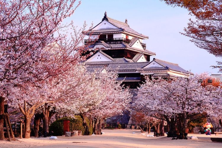 Matsuyama Castle