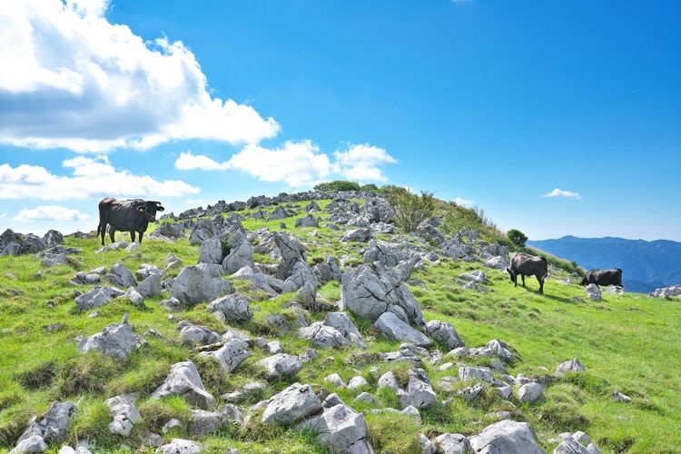Tourist destination images of Shikoku Karst(3)