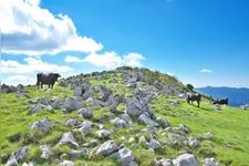 Tourist destination images of Shikoku Karst(3)