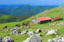 Tourist destination images of Shikoku Karst(2)