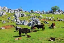 Tourist destination images of Shikoku Karst(1)