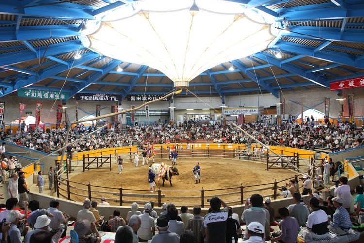 Uwajima City Bullfighting Arena