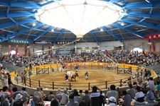 Tourist destination images of Uwajima City Bullfighting Arena(1)