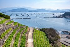 Tourist destination images of Youshi Mizunoura Terraced Rice Paddies(4)