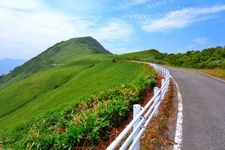 Tourist destination images of Bottle Forest Road(1)