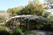 Tourist destination images of Tenshaen Garden(1)
