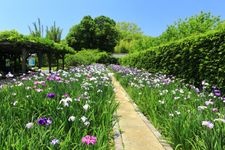 Tourist destination images of Tenshaen Garden(3)