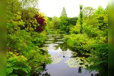 Tourist destination images of Kitagawa Village "Monet's Garden" Marmottan(1)