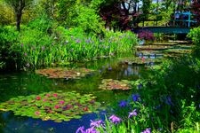 Tourist destination images of Kitagawa Village "Monet's Garden" Marmottan(5)