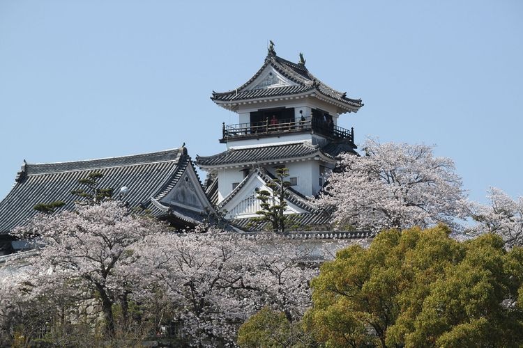 Kochi Castle (Kochi Park)