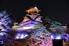 Tourist destination images of Kochi Castle (Kochi Park)(3)