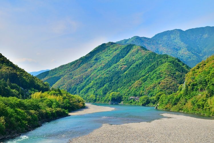 Niyodogawa River