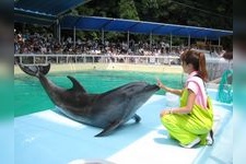 桂濱水族館的觀光地圖片(1)