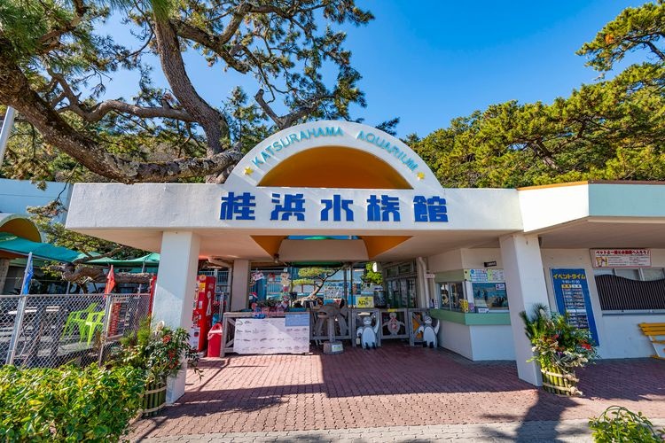 桂濱水族館的觀光地圖片(2)